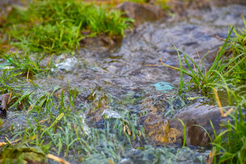 Water flowing from the grass.