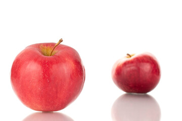 Two ripe red apples, macro, isolated on white background.