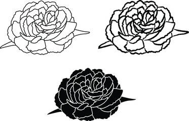 Carnation Flower Blooming Clipart Set - Outline and Silhouette