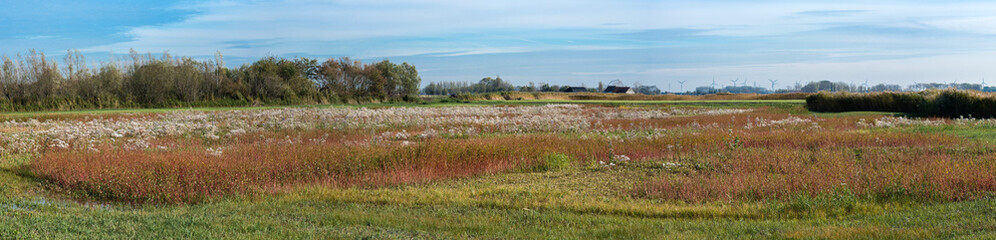 Panoramic view over the colorful meadows of the polders in Uitkerke, Blankenberge, Belgium.