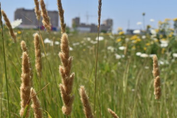 Fototapeta premium Those who find beauty in all of nature will find themselves at one with the secrets of life itself.