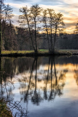 Abendstimmung am Backteich vom Kloster Loccum