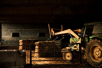 Farmer moving straw bales with a vintage tractor © Cavan