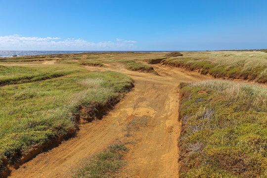 Visitors to Papakolea, also called Mahana Green Sand Beach must navigate a series of rutted dirt roads.