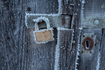 frozen padlock on a wooden door