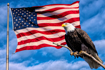 Bald Eagle and American USA Flag Waving