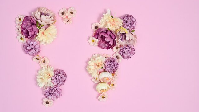 Pastel flower heads making Earth map on bright pink background. Stop motion flat lay 