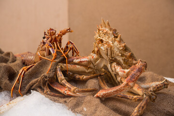 Sale of fresh and savory seafood as lobster decorated on ice and a jute bag at a stall at the Saint Tropez fish market, Provence, France