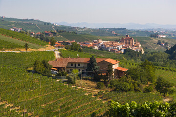 Fototapeta na wymiar Village and Vineyards of La Morra, Piedmont, Italy