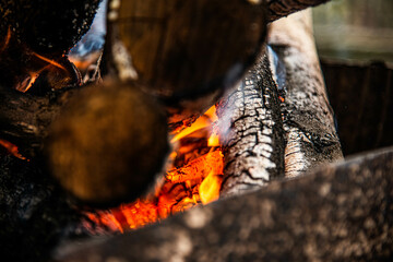 Fire texture, burning pieces of firewood, close-up photo of embers.