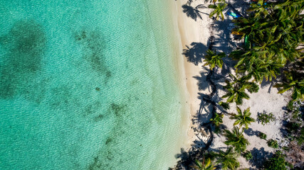 Aerial top down view of the beautiful Stingray Beach with emerald sea and coconut palm trees, Long Island, Bahamas