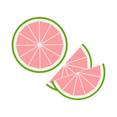 grapefruit fruit slices vector illustration