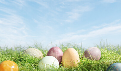 Easter eggs in spring grass, close up