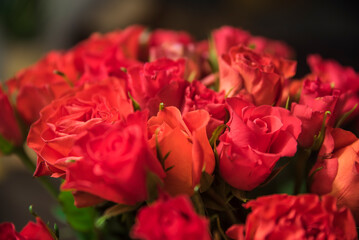 bukiet różowych róż z przybraniem - obrazy, fototapety, plakaty