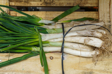 Calçot is a variety of spring onions, characterized by a length of 15 to 25 cm., are common in the inland area of Catalonia, Spain.