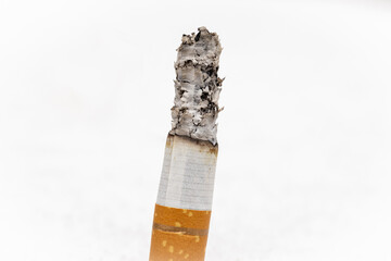 Close Up of Burning Cigarette on Isolated White Background Macro Photography