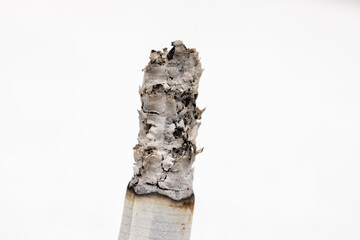 EXTREME Close Up of Burning Cigarette on Isolated White Background Macro Photography