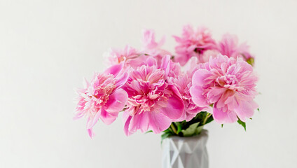 Bouquet of pink peonies in a vase on a white background. Selective focus. Close up. Copy space.