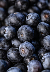 Frame filling closeup of ripe blueberry, fresh and healthy