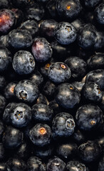 Frame filling closeup of ripe blueberry, fresh and healthy