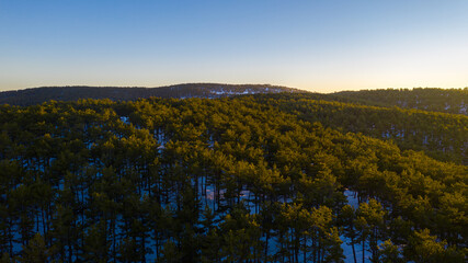 Aerial view of snowy forest and natural life in Ankara,TURKEY.