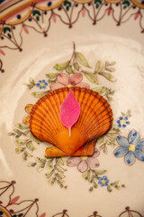 ornaments created with seashells on brightly colored backgrounds with embellishment function