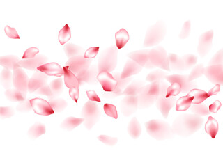 Pink sakura flower flying petals isolated on white vector background.