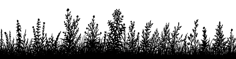 Vector silhouette of grass and bushes on white background - 487194021