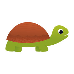 Cartoon turtle character in childish style, zoo animal isolated on white background, design element for poster or pattern, african tropical fauna