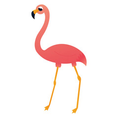 Cartoon pink flamingo character in childish style, zoo animal isolated on white background, design element for poster or pattern, african tropical fauna