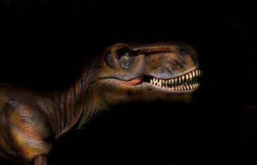 The head of dinosaur in the dark background. Quality photo