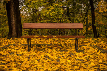 Lazienki Park Warsaw in Autumn