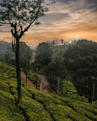 Naklejka premium the old castle in the morning