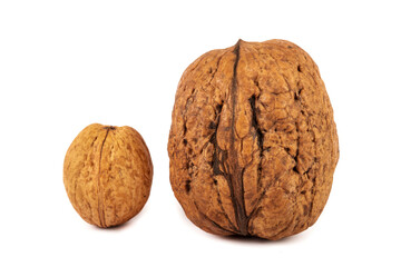  Walnuts isolated on white background, on table. Macro walnuts., close up, top view.