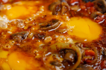 Shakshuka hot with herbs and spices close-up.