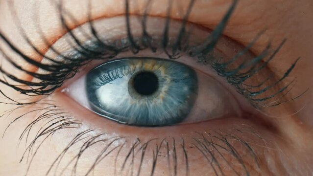 Opening and blinking female eye with a blue iris and long lashes painted with mascara. Gray eye close up of the iris and the pupil dilation and contracts. Eyeball, retina, eyelid. Slow motion.