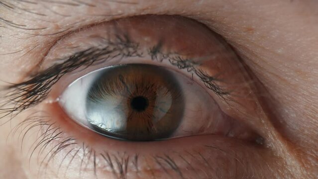 Beautiful male eye with brown iris and retina, long black eyelashes, eyeball. Man opens his eyes, looking in camera. Brown eye close up of iris and pupil dilation and contracts. Slow motion.