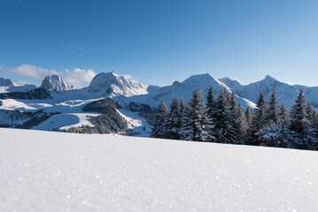 Gantrisch area - swiss snow landscape