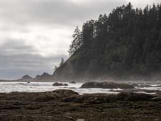 A foggy view along the Pacific Northwest coast in Olympic National Park, rocky shore and forest covered hills.