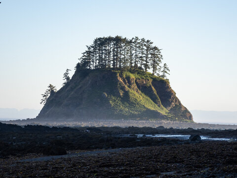 An island off the coast of Cape Lava in the morning, fog hanging over the tidal pools at low tide, part of Olympic National Park.