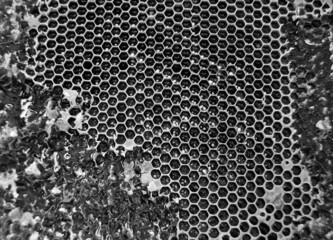 Drop of bee honey drip from hexagonal honeycombs