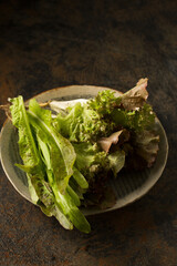 Healthy Organic Salad still life in rustic style