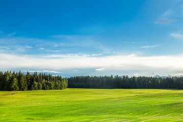 A bright green field, in the distance a forest and a clear blue sky.