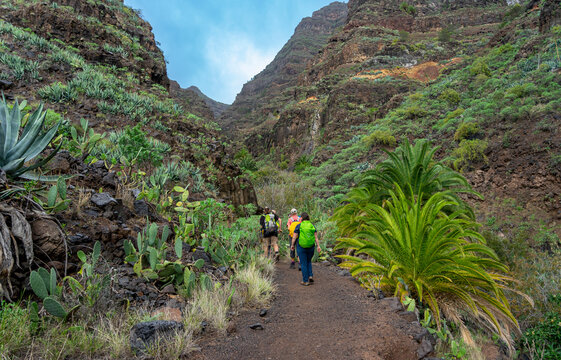 LA GOMERA, Kanarische Inseln: Wanderung einer Gruppe zum Wasserfall in das wilde Tal Barranco de Arure bei VALLE GRAN REY