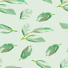 Leaves are translucent pale green. Pattern. Vector illustration. 
