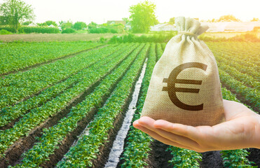 Euro money bag and a potato field. Lending a loan and subsidizing farmers. Surface irrigation of...