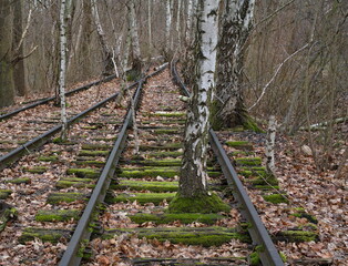 Alte Gleise im Natur-Park Schöneberger Südgelände im Winter - 487203478