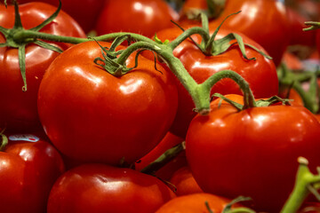 tomatoes on the vine