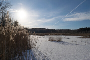 landscape with river