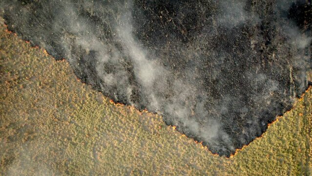 Corrientes, Argentina - february 2022: Aerial photography from a drone of the forest fires in the province of Corrientes, Argentina, in 2022
